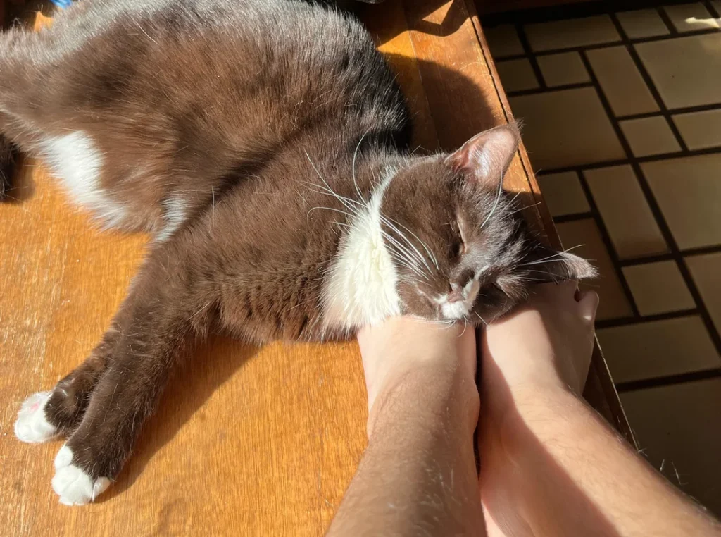 When Foot-Sitting Might Signal Something More