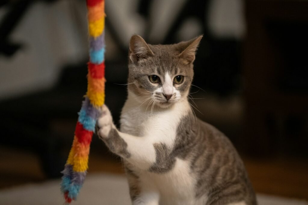 Mental Stimulation: The Joy That Keeps Them Sharp