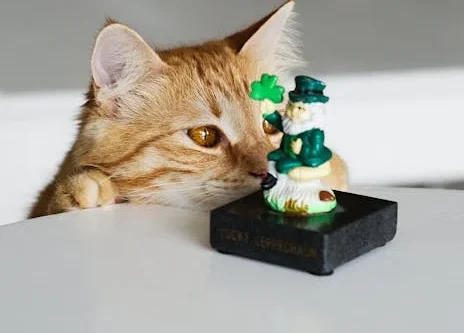 Some Breeds Are Wired to Cause More Chaos Than Others