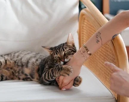 The Scent Connection You Probably Never Knew About