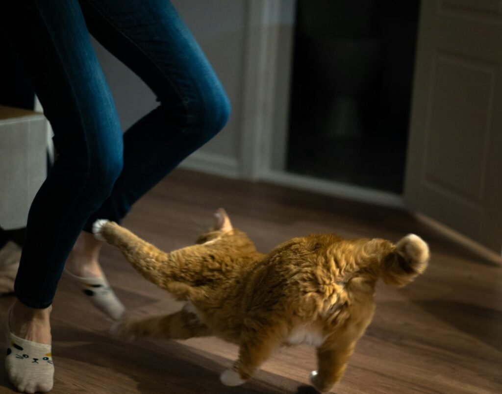 When Stress or Pain Is Behind the Attack