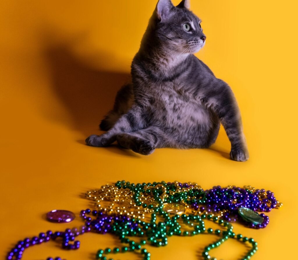 Jewelry and Shiny Objects: The Glittering Obsession 