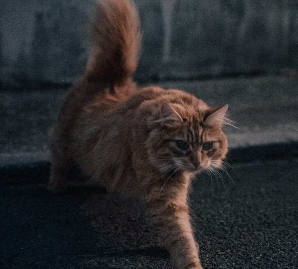 The Real Physical Benefits Hiding Inside Those Wild Sprints