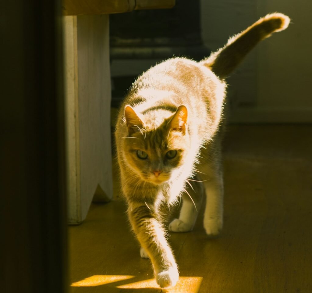 A Few Things to Watch For 