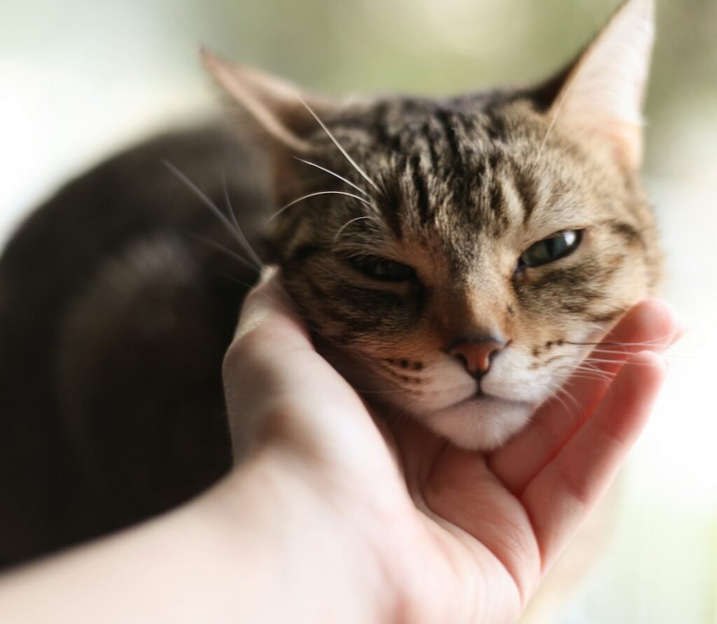 Why Vulnerability Is the Whole Point