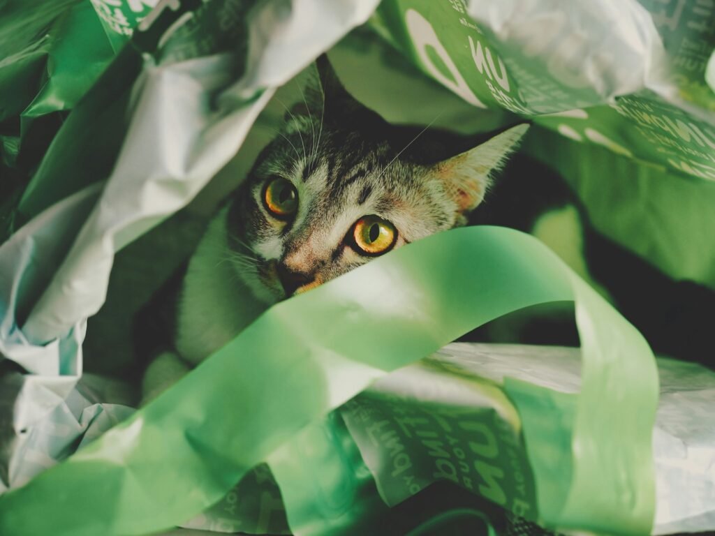 5. Crinkly Sounds and Mysterious Rustling