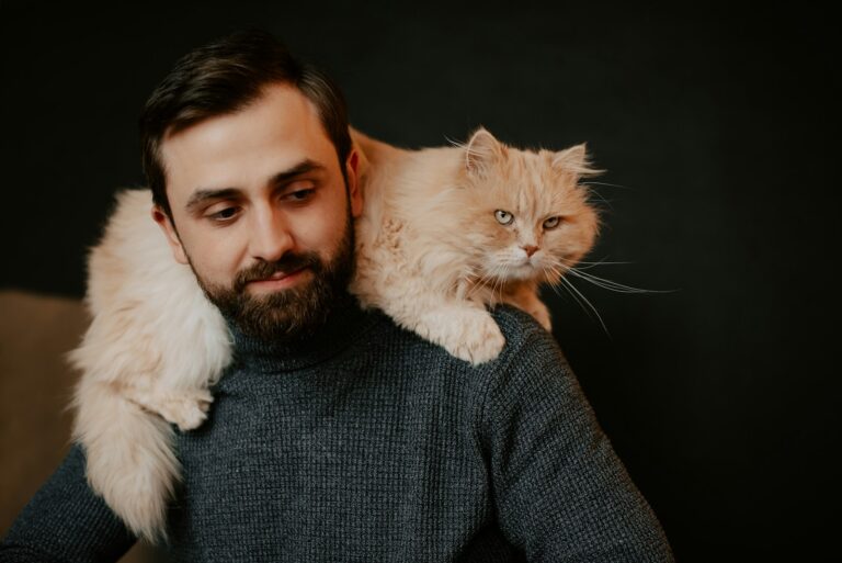 Why Cats Choose Their Favorite Person: Unraveling Feline Devotion