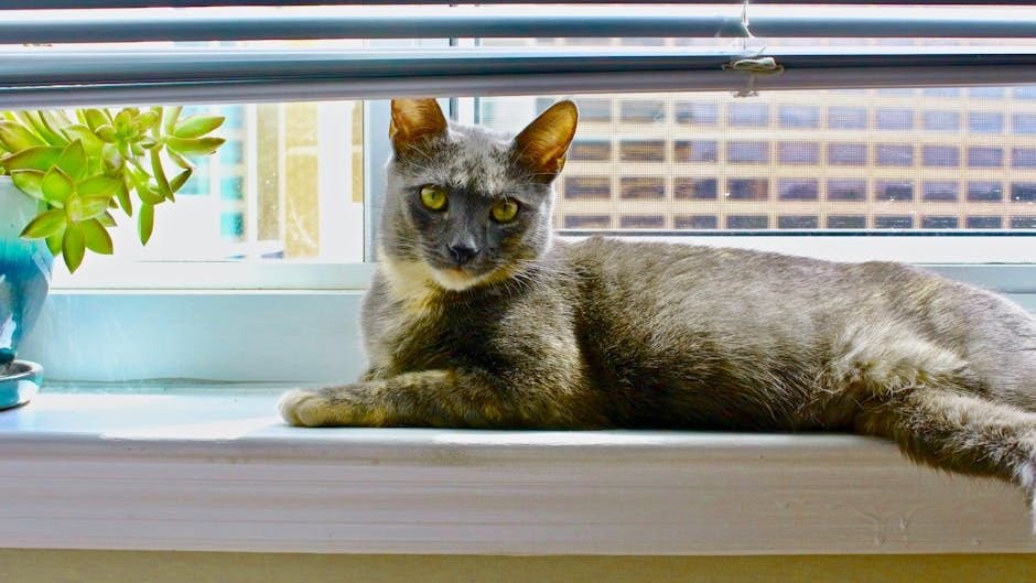 8 Everyday Household Items Your Cat Secretly Loves More Than Toys