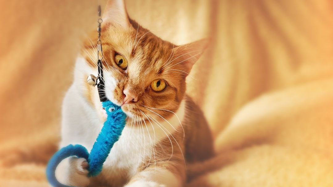 Is Your Cat's Favorite Toy a Window to Their Wild Ancestry?