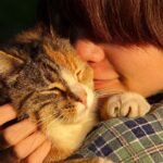 10 Subtle Signs Your Cat Thinks You're Their Personal Protector