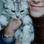 Why Do Some Cats Seem to Prefer One Human Over All Others?