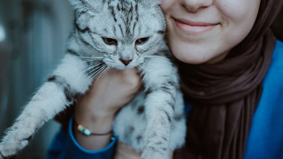 Why Do Some Cats Seem to Prefer One Human Over All Others?