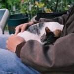 7 Unexpected Benefits of Letting Your Cat Nap in Your Lap
