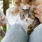 11 Things Your Cat Secretly Judges You For (In a Loving Way)