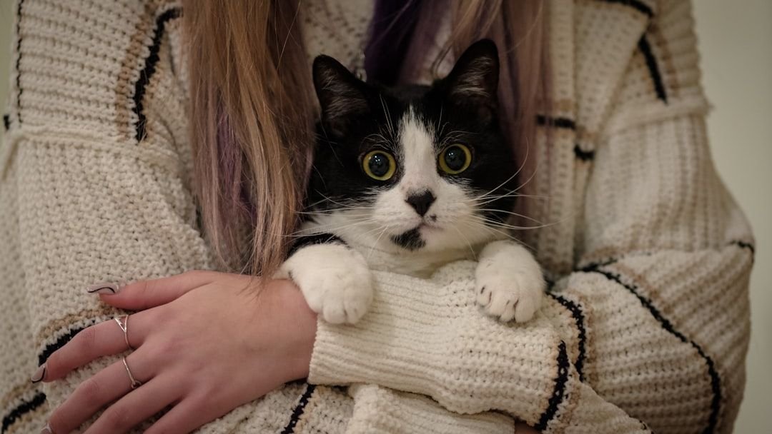 7 Myths About Feline Independence That Modern Science Debunks