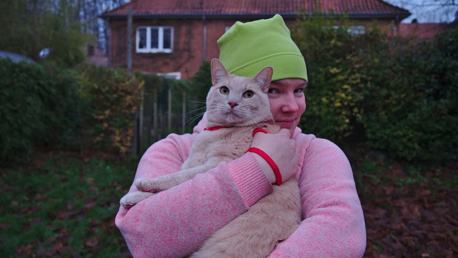 Cats Don't Just Live With You; They Actively Choose Your Company