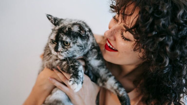 Your Cat Knows When You're Happy (and How They React to It)