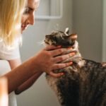 You're Not Spoiling Your Cat, You're Building a Better Bond: Here's How