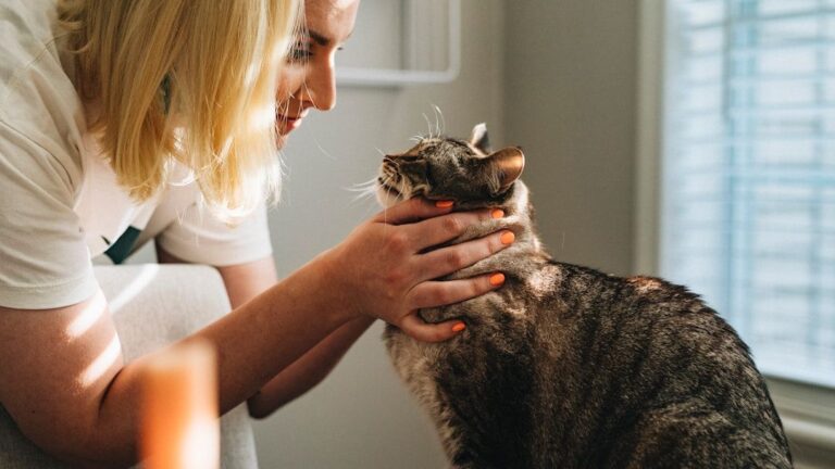 You're Not Spoiling Your Cat, You're Building a Better Bond: Here's How