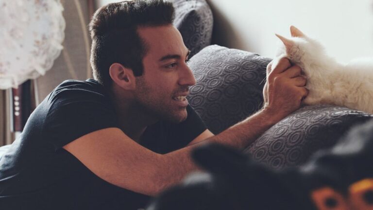 What Your Cat Really Thinks When You Talk to Them (Hint: It's Not Annoyance)