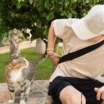 Forget Everything You Knew About Cat Independence