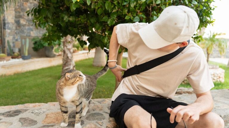 Forget Everything You Knew About Cat Independence