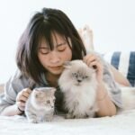 Cats Are the Ultimate Judges of Human Character