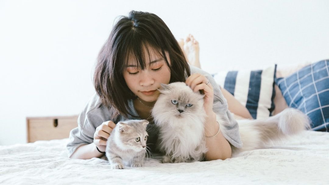 Cats Are the Ultimate Judges of Human Character