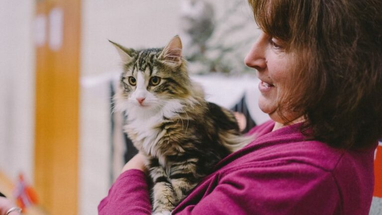 10 Unexpected Health Benefits Your Cat Brings to Your Daily Life