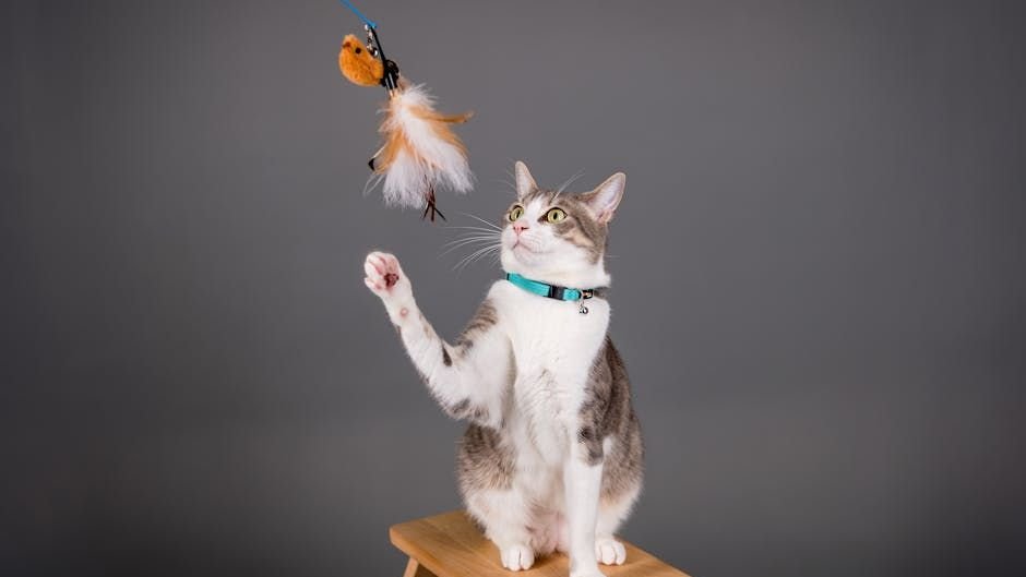 Do Cats Really Just Play, Or Are They Practicing Their Ancient Hunter Skills?