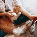 10 Clever Reasons Your Cat Always 'Helps' You With Chores