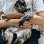 10 Subtle Signs Your Cat Thinks You're the Best Roommate Ever