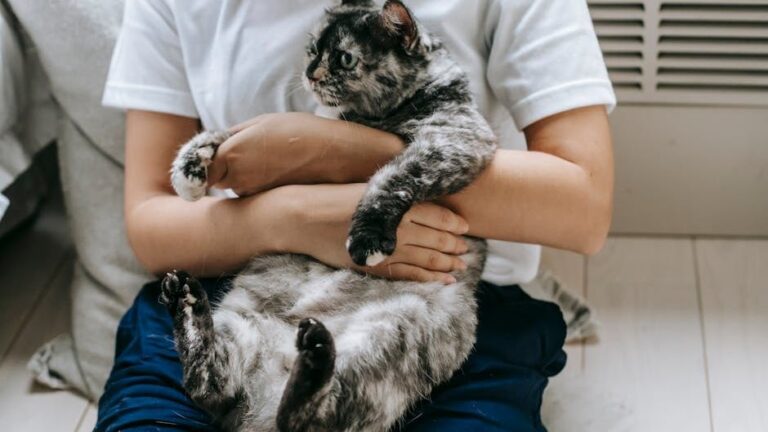 10 Subtle Signs Your Cat Thinks You're the Best Roommate Ever