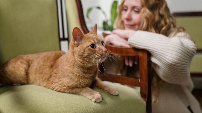 7 Things Your Cat Learns From Watching Your Every Move