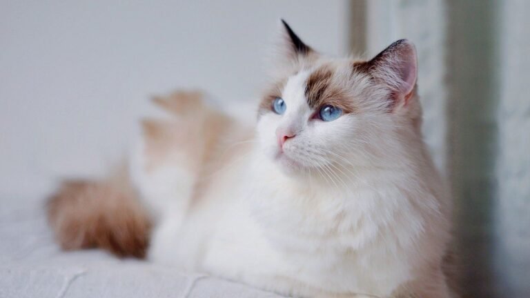 10 Breeds Known for Their Gentle Nature (and a Few That Are Surprisingly Fierce)