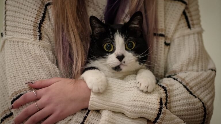 Cats Have a Sixth Sense for Changes in Your Mood, It's True!