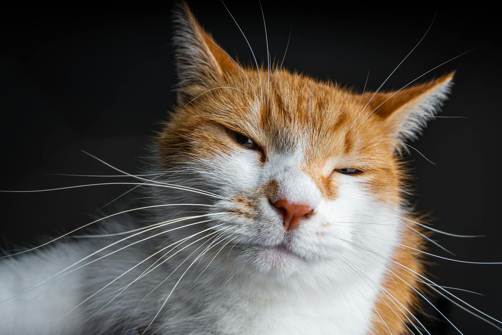 3. The Slow Blink That Melts Your Defenses