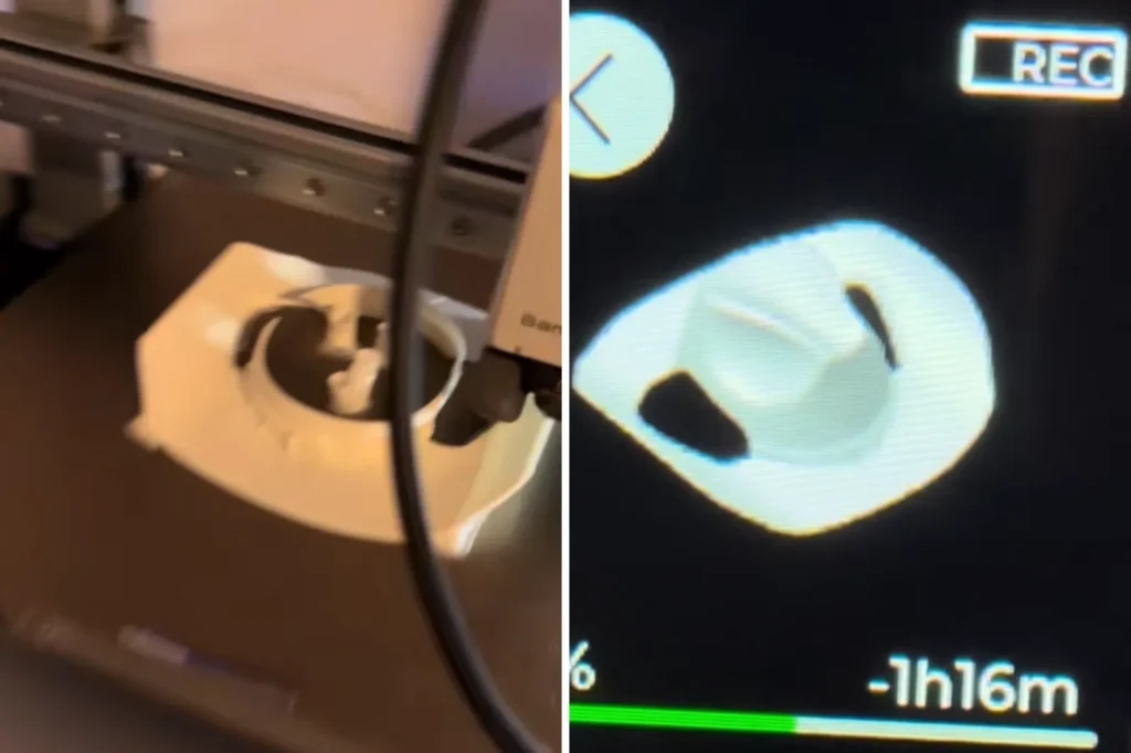 Son Crafts Tiny Cowboy Hat for Cat on 3D Printer, Mom's Reaction Ignites TikTok Frenzy