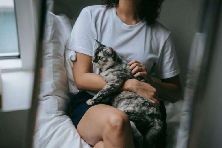 7 Signs Your Cat Thinks Your Lap Is Their Personal Throne