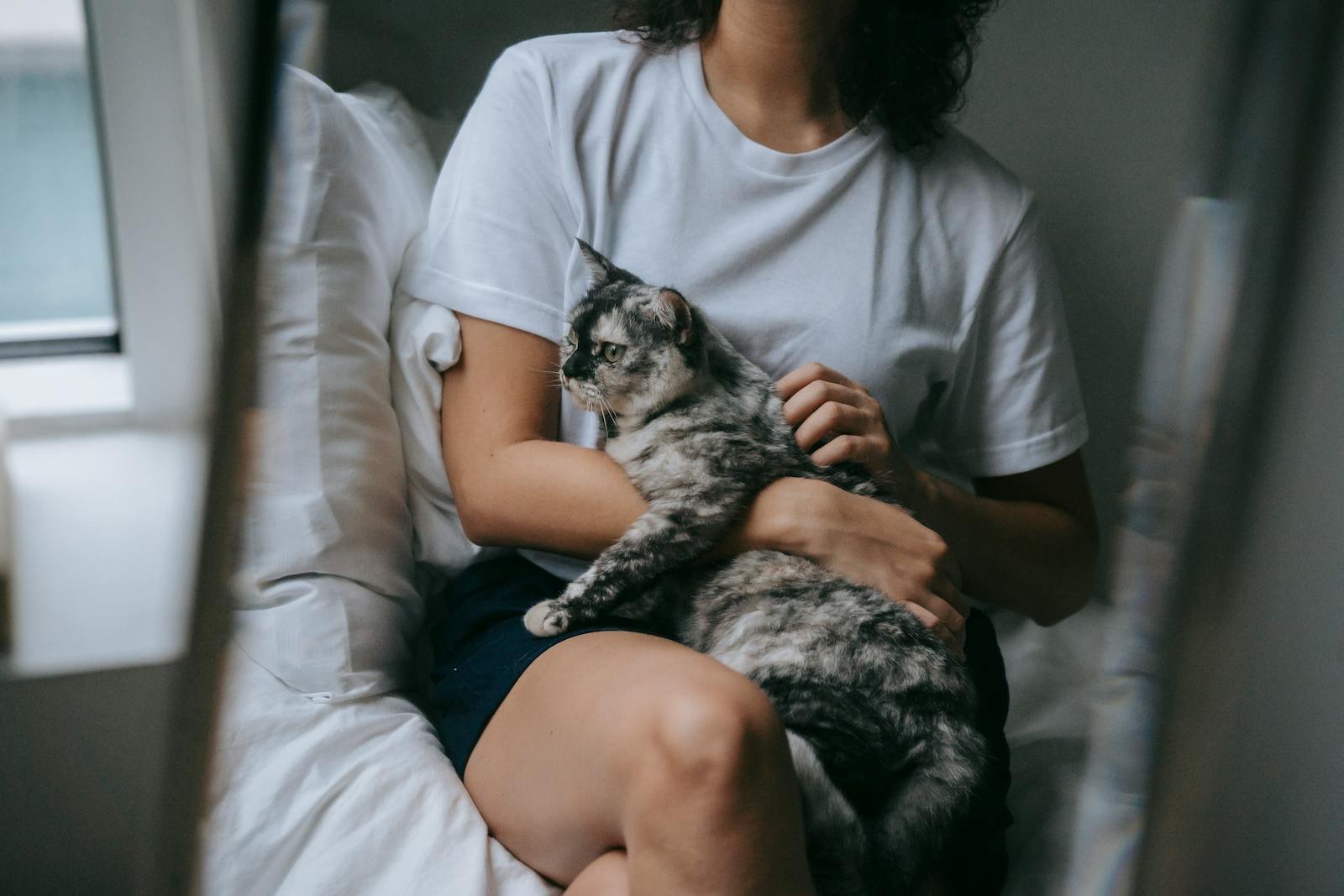 7 Signs Your Cat Thinks Your Lap Is Their Personal Throne