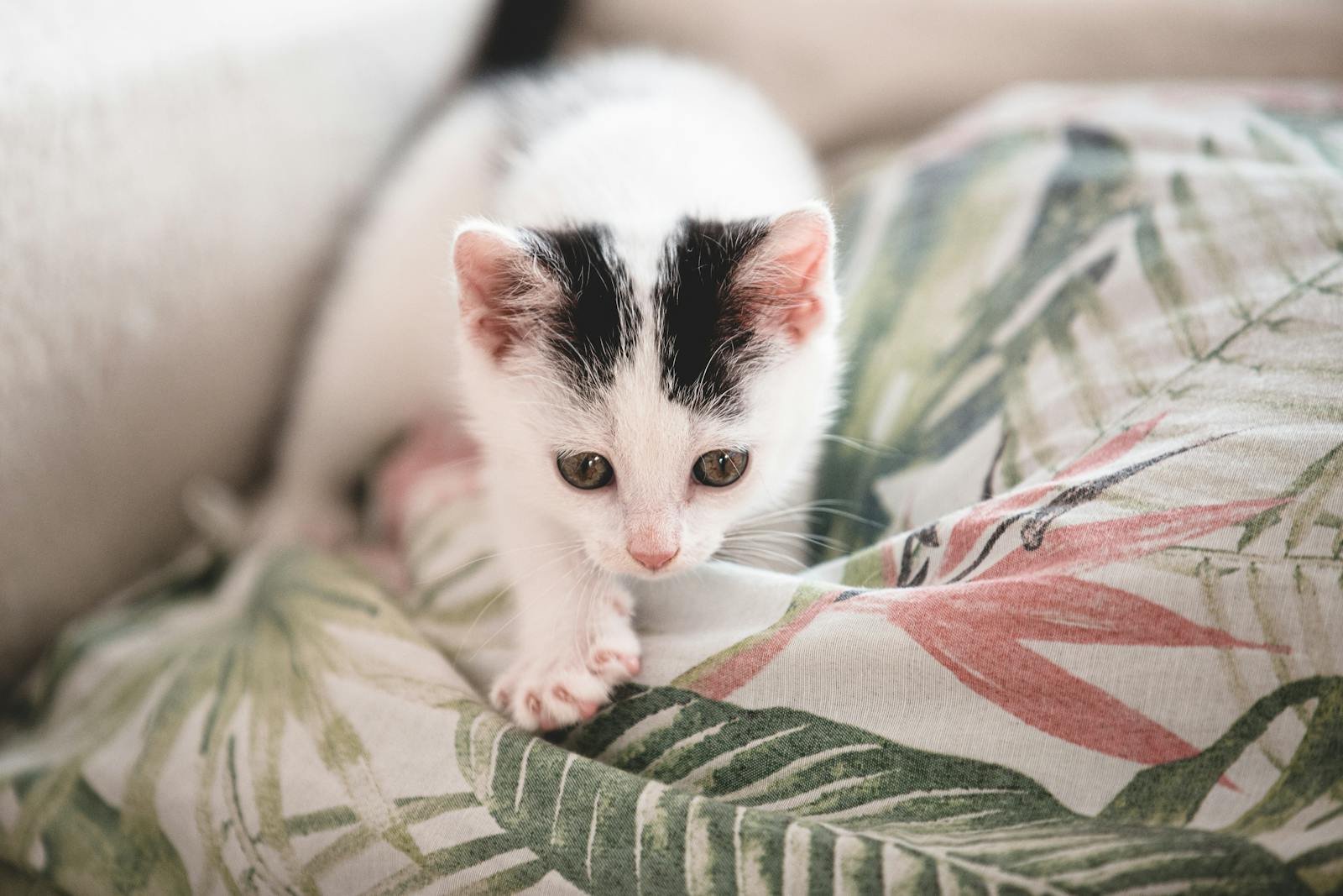 Kneading: The Ancient Art of Claiming You