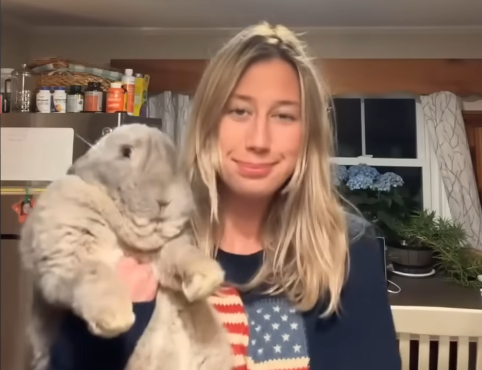 Giant Meat Bunny Rescued from Craigslist Becomes Devoted Dog-Like Pet