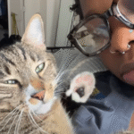 Prayer for Perfect Man Delivers Ultra-Clingy Cat with All the Green Flags