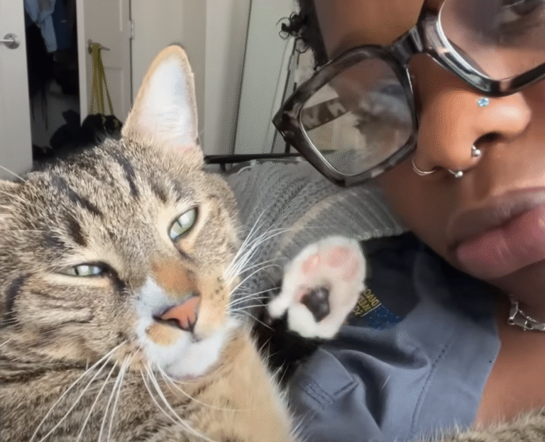 Prayer for Perfect Man Delivers Ultra-Clingy Cat with All the Green Flags