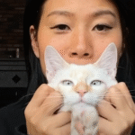 Tiny Kitten Chooses Mexico Commuter, Evolves into Wild LA Teenager