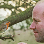Persistent Wild Robin Forms Unusual Bond With Man, Changing His Life