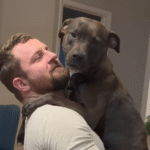 Neglected Dog's Terror Turns to Triumph: Carried Everywhere, Now Bounding with Joy