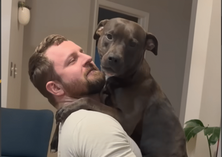 Neglected Dog's Terror Turns to Triumph: Carried Everywhere, Now Bounding with Joy