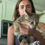 Runner Returns from Jog with Surprise Kitten Companion: The Cat Chose Her