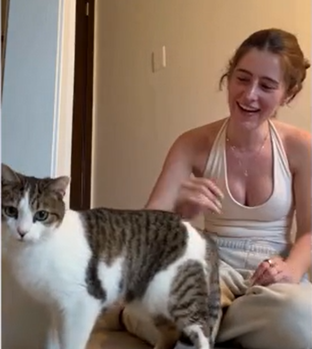 Foster Cat's Five-Day Hideout Ends in Heartwarming Feline Friendship